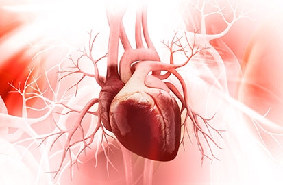 YOGA THERAPY FOR CARDIOVASCULAR & RESPIRATORY SYSTEM