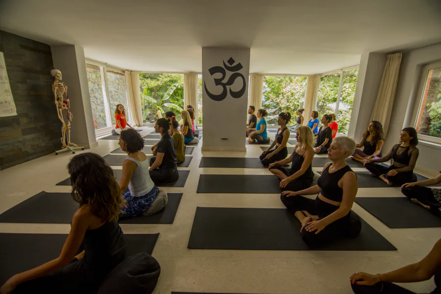 Bahçeye bakan stüdyoda meditasyon yapan katılımcılar