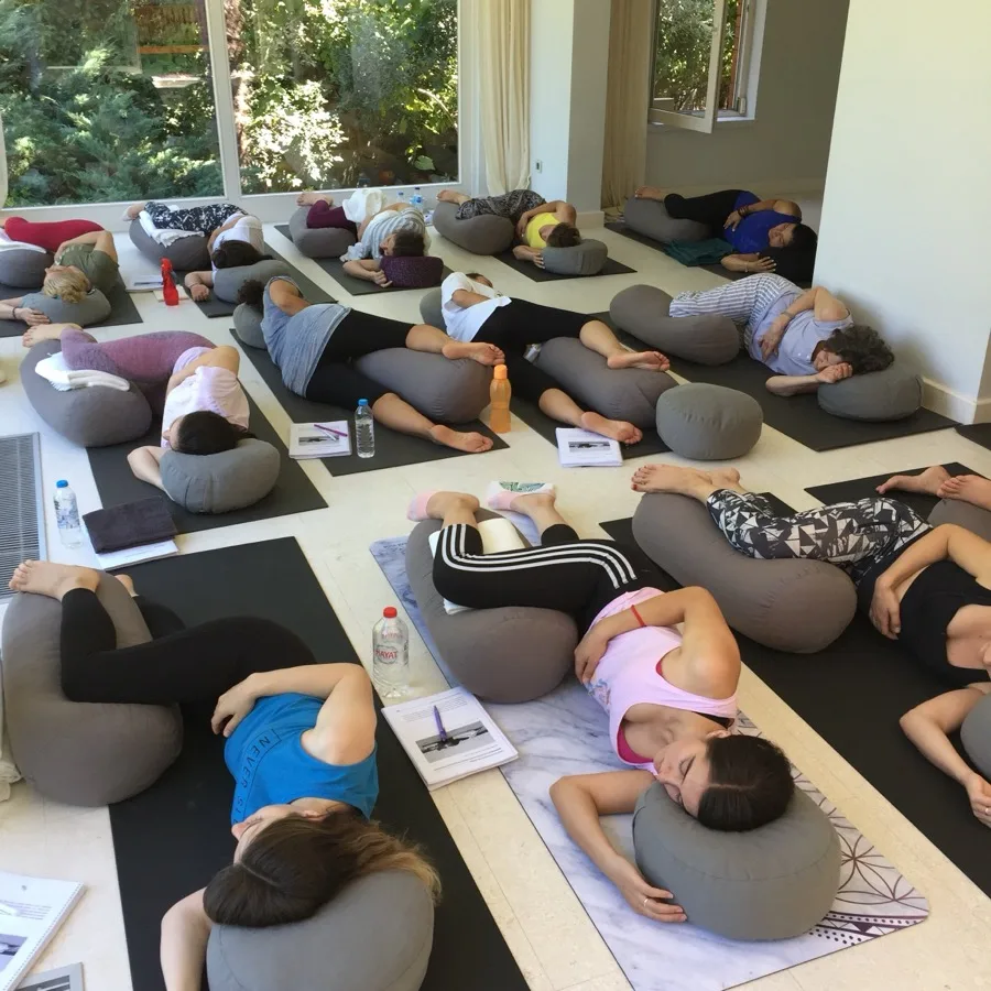 Hamile yogası eğitmenliği programından kare 10