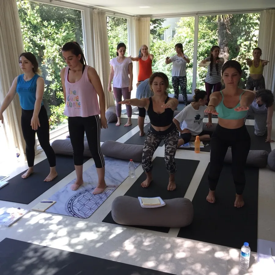 Hamile yogası eğitmenliği programından kare 12