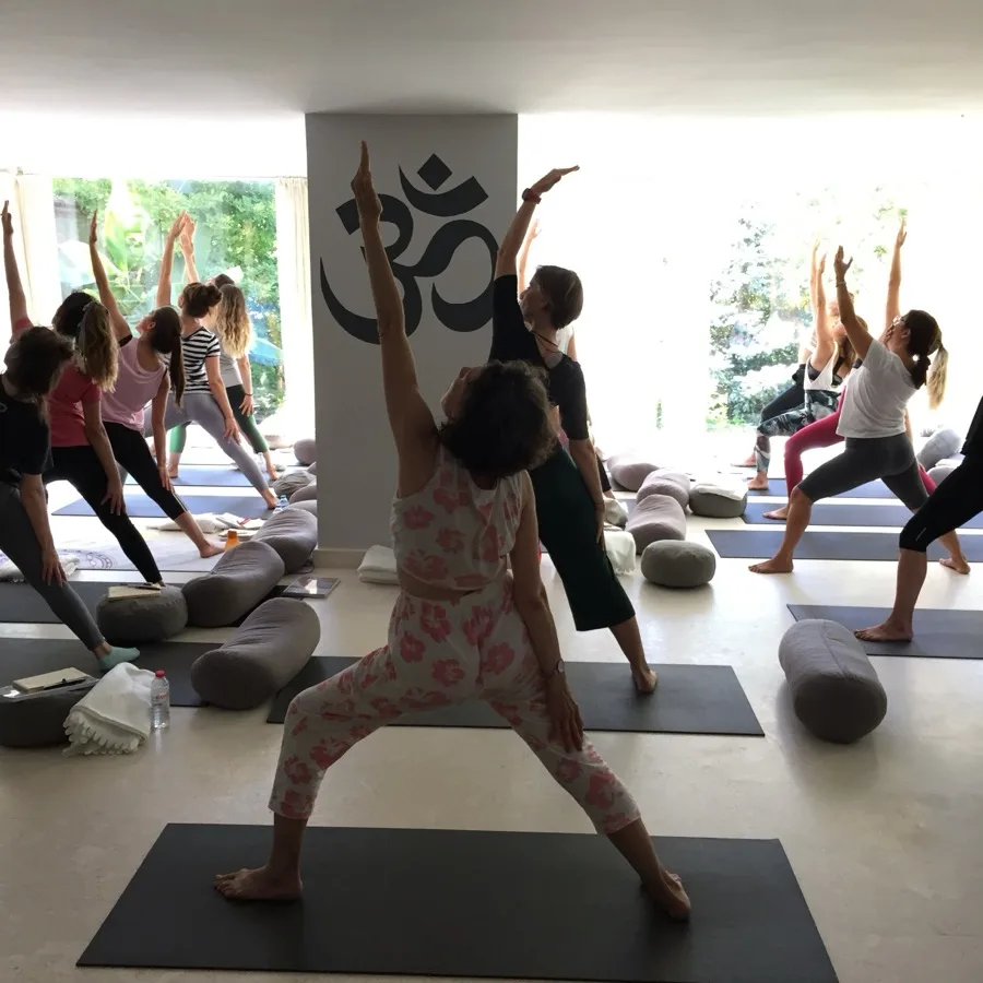 Hamile yogası eğitmenliği programından kare 17