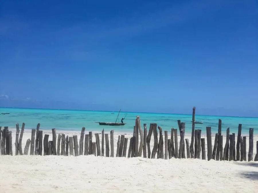 Zanzibar'da turkuaz deniz ve kumsalda ahşap kazıklar